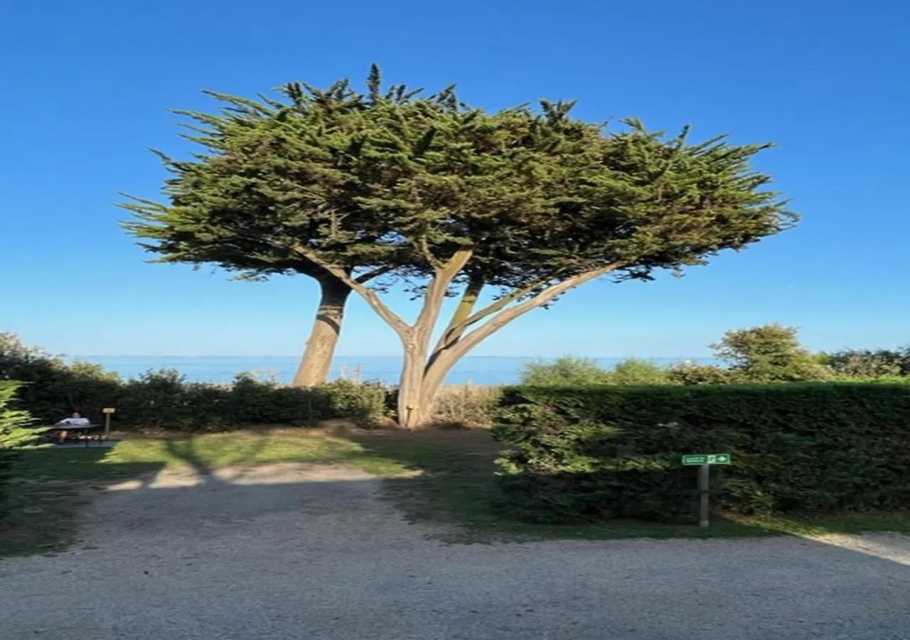 Mobilhome Quiberon vue sur mer Camping